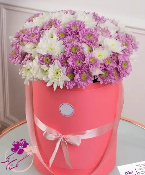 باکس گل داوودی