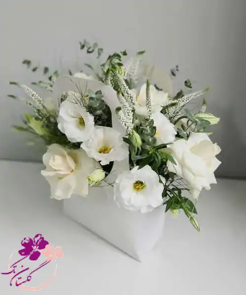 باکس گل رز سفید