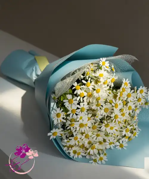 دسته گل بابونه