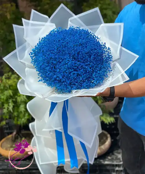 دسته گل ژیپسوفیلا آبی